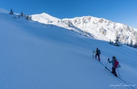 Skitour Blaseneck © Sodamin 28