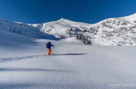 Skitour im Pulverschnee Blaseneck im Nationalpark Gesäuse, 1969 m