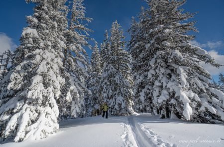 Skitour Lahngangkogel - Kaiserau 15