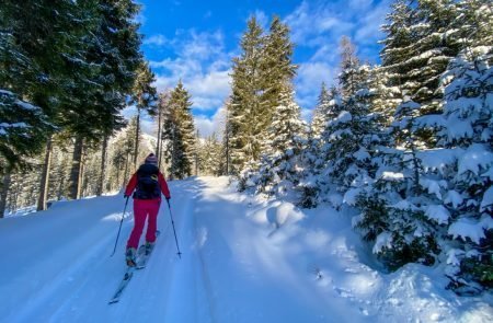 Skitour Triebener Tauern - Triebenfeldkogel. 2