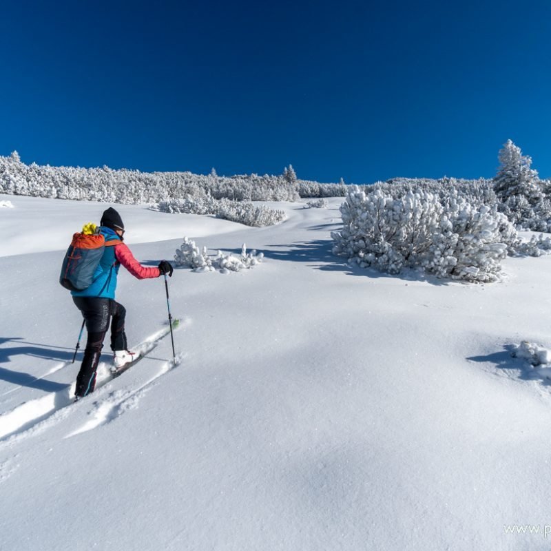 Skitour: Zauchensee – Strimskogel (2.139m)