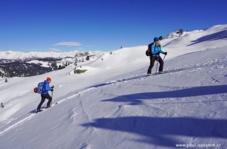 Skitouren in Osttirol-Kartisch -Waldruhe1