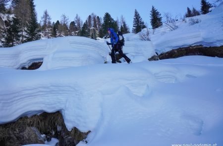 Skitouren in Osttirol-Kartisch -Waldruhe14