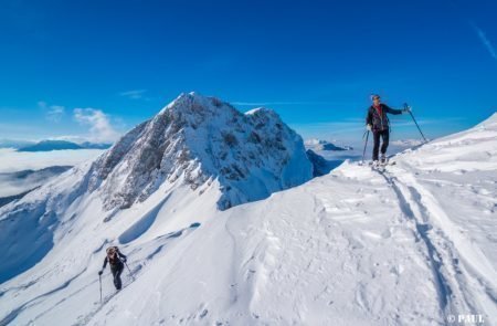 Sturzhahn (7 von 9)