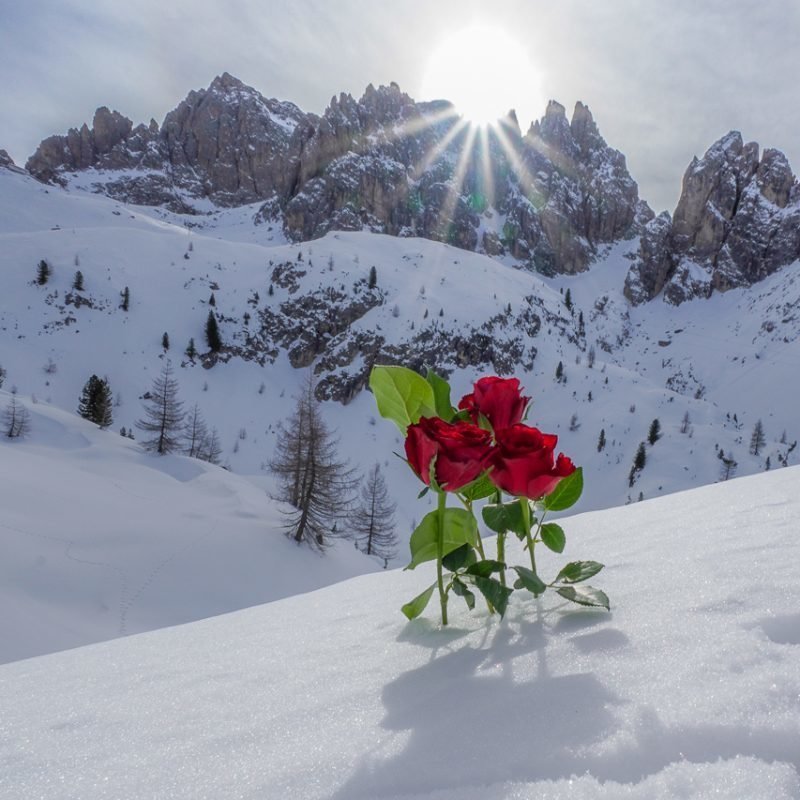 Skitouren in Südtirol