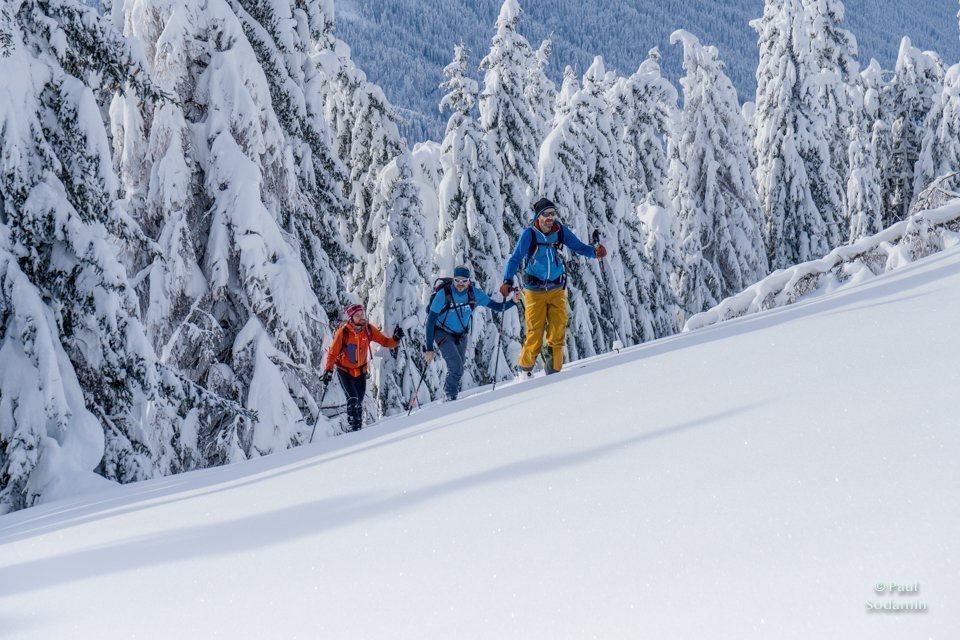 Pulverschnee in den Alps