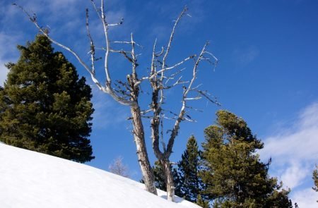 Tiefschneetraining (10)