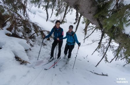 Triebenkogel (1 von 12)