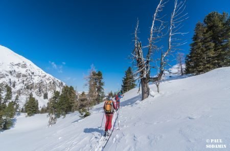 Triebenkogel (5 von 12)