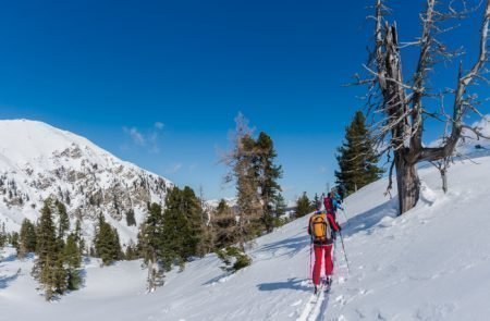 Triebenkogel (6 von 12)