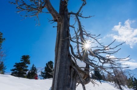 Triebenkogel (7 von 12)