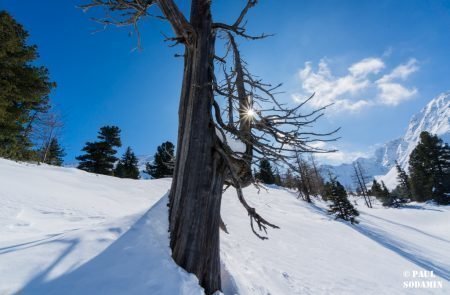 Triebenkogel (8 von 12)