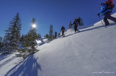 Unterwegs am Lahngangkogel, 1788m 6