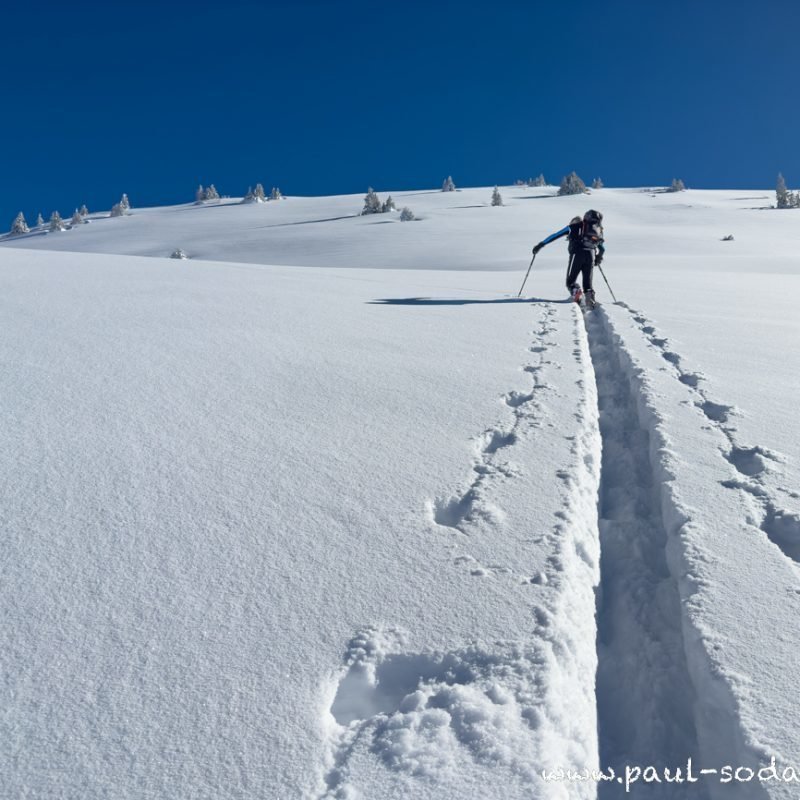 Pulverschnee im Nationalpark Gesäuse  mit Bergführer Paul Sodamin