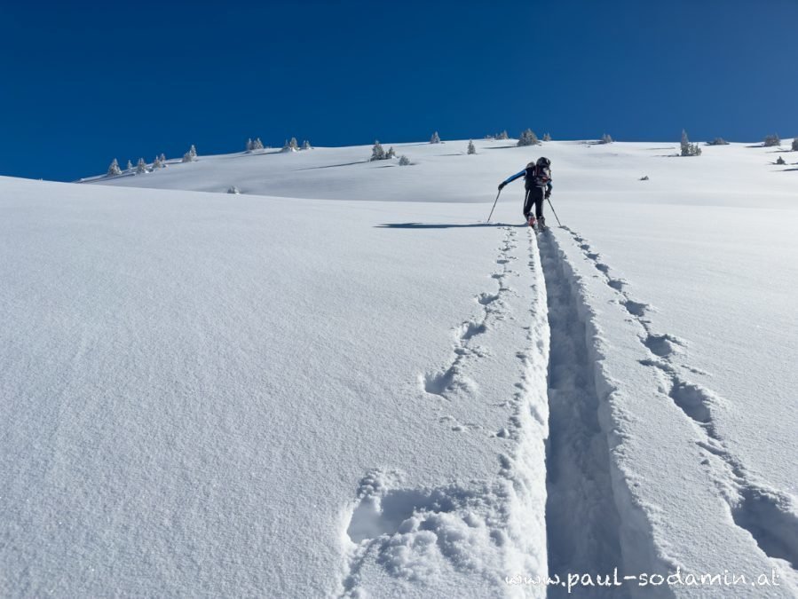 Pulverschnee im Nationalpark Gesäuse  mit Bergführer Paul Sodamin