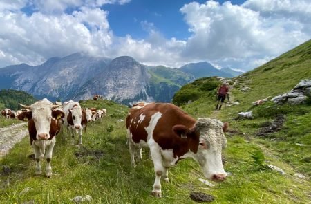 Wanderung Lungauer Alpen 3 Tage 16