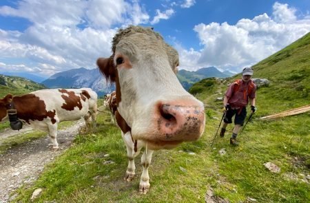 Wanderung Lungauer Alpen 3 Tage 17