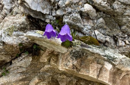 Wanderung Lungauer Alpen 3 Tage 24