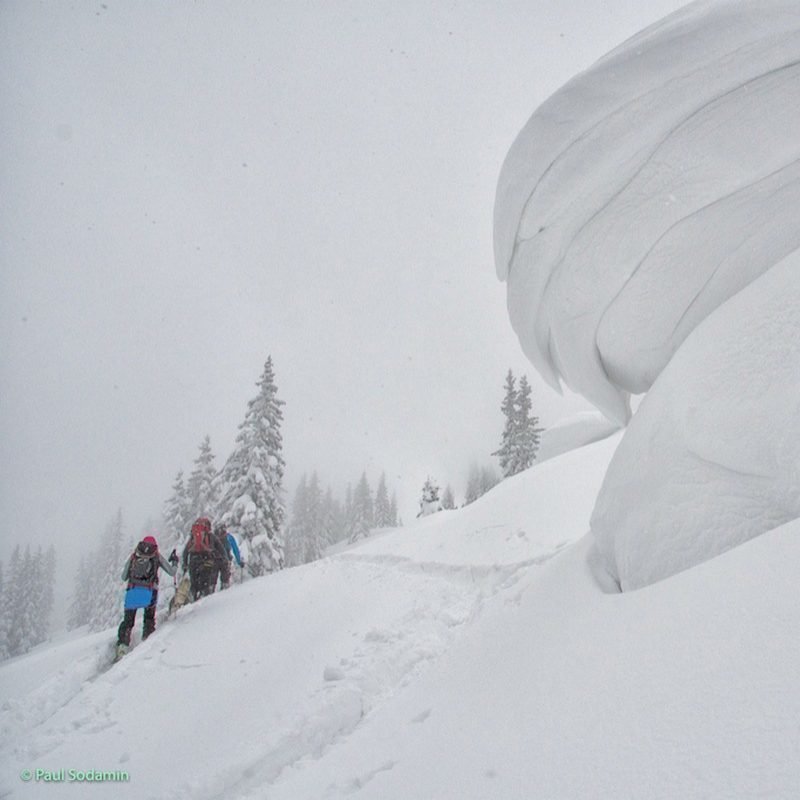 Monsterwechten am Lahngangkogel