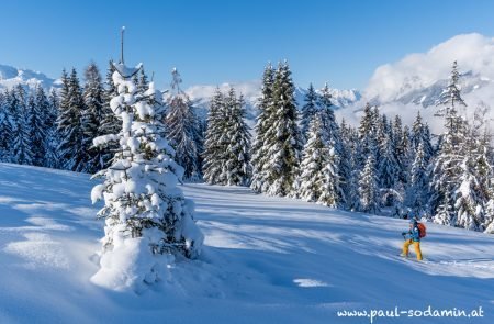 Winterwunderland © Puiva Paul 5