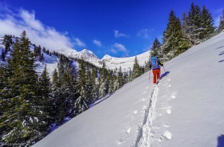 Zinkenkogel 2.233m7